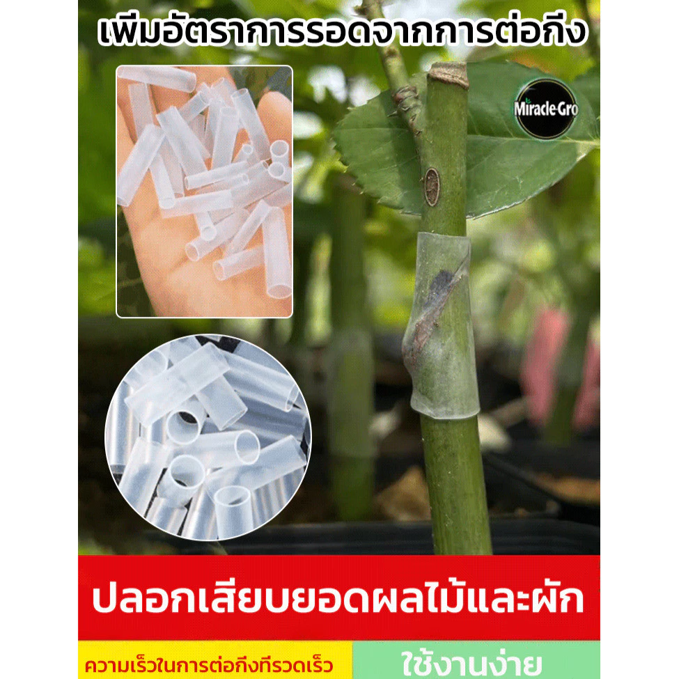 ท่อต่อกิ่งพลาสติก อุปกรณ์เกษตรสำหรับขยายพันธุ์พืช - รูปที่ 1