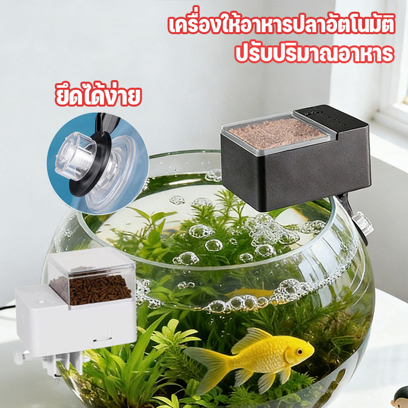 เครื่องให้อาหารปลา เครื่องตั้งเวลาให้อาหารปลา ความจุใหญ่ มีแบตเตอรี่ 80/160/240ML ตู้ปลาที่เหมาะกับวงกลม