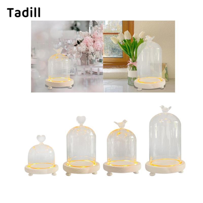 [negjsg] Glass Cloche Dome Cloche Dome Micro Landscape Holder ตู้โชว์ Nordic Table