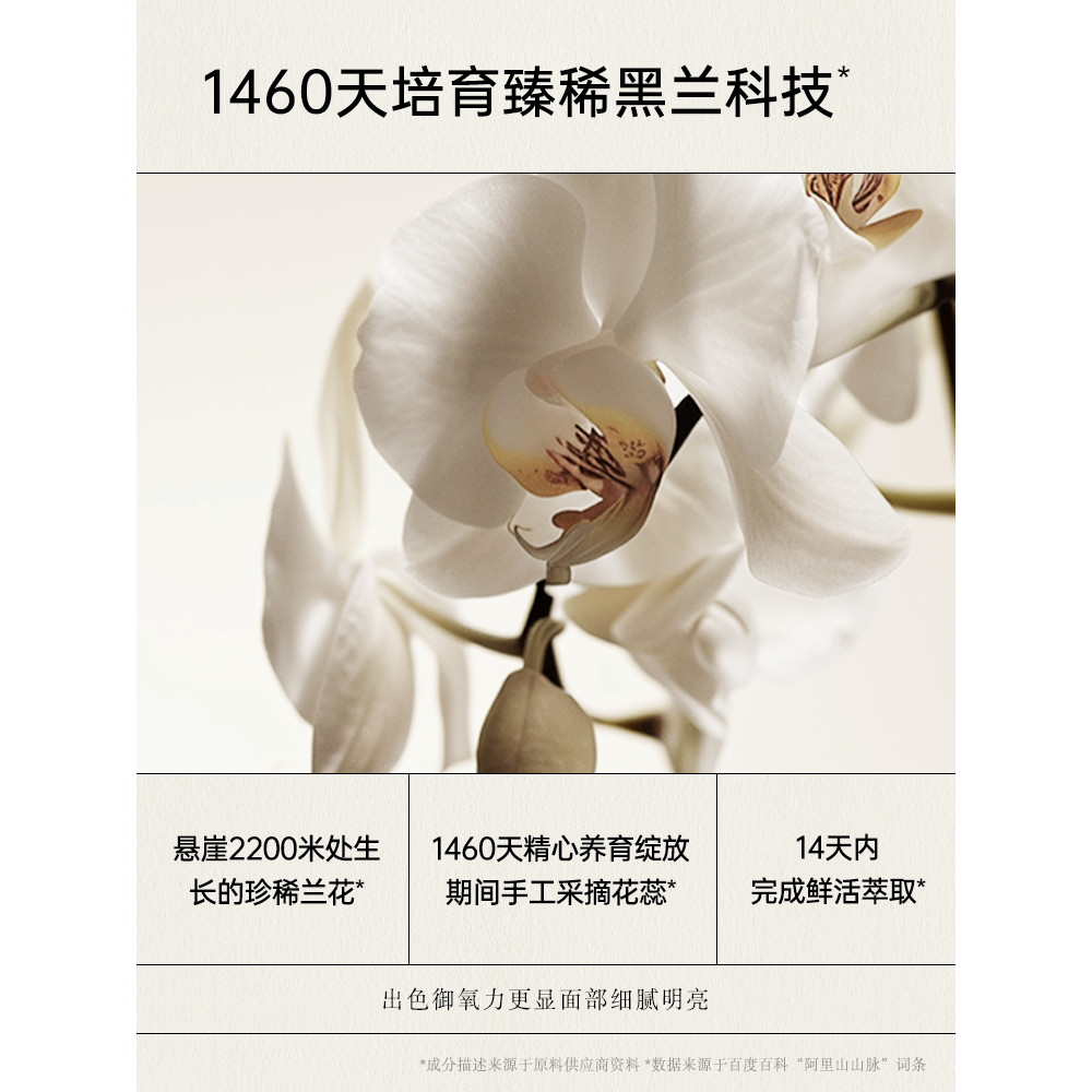 MOSY ประณีตหรูหรา Black Orchid Mask Black Orchid Mask สีดําประณีตหรูหรา Black Orchid Mask สีดํา20260