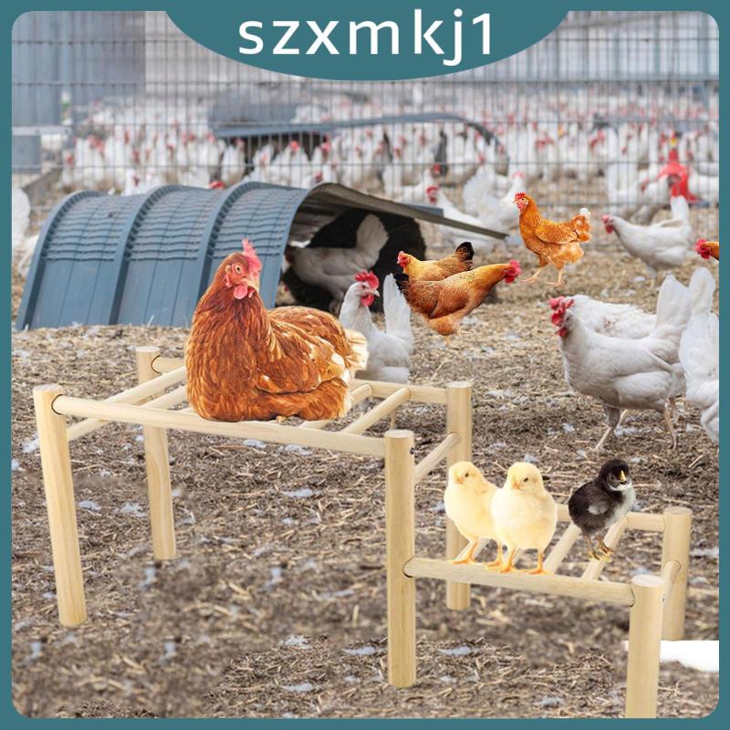 [Szxmkj1] คอนไก่สําหรับ Coop วัสดุไม้ Roosting Ladder Training Platform สําหรับไก่และนกฟาร์มเล่นกลางแจ้ง ราคา ถูกที่สุด ดีลบีเคเค แกลเลอรีภาพที่ 4