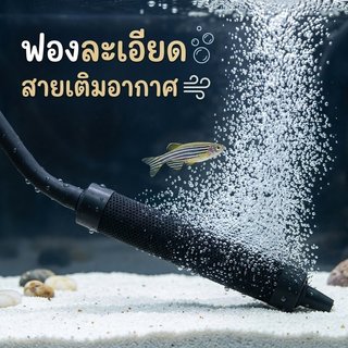 สายฟองอากาศ บ่อปลา ฟองละเอียด หัวเดียว หัวคู่ ขนาด 20 30 45 60 75 ซม มั่นคง ใช้ง่าย