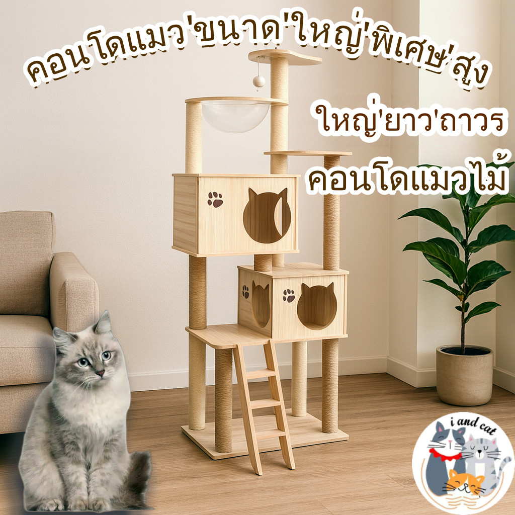 I&CAT คอนโดแมวไม้ ขนาดใหญ่ มินิมอล เสาเชือกปอ หลุมอวกาศใส กล่องนอนคู่ บันได โครงปีนแมว แข็งแรงมั่นคง