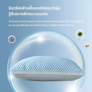 🧊 ซื้อ1 แถม1 🧊 หมอนสุขภาพ หมอนเย็น หมอน 1000g Sonw Pillow ลดอาการปวดคอ ป้องกันไรฝุ่น หมอนนอน หมอนหนุน หมอนโรงแรม