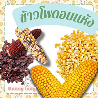 Bunny.indy ข้าวโพดอบแห้งสำหรับแฮมสเตอร์และสัตว์ฟันแทะทุกชนิด