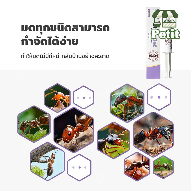 ยาฆ่ามด เจลกำจัดมด เหยื่อกำจัดมด ไล่มด ป้องกันมด เจลไล่มด เจลล่อมด สำหรับใช้ในบ้าน รูปที่ 2