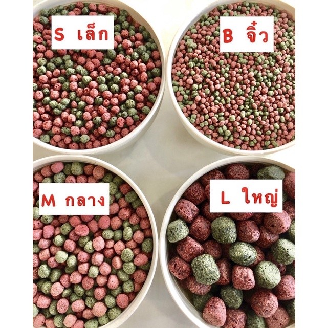 อาหารปลาสวยงาม เม็ด2สี  OMEGA เกรดพรีเมี่ยม เกรดเดียวกับซากุระ ปลาสวยงาม 2สี 🐠แบ่งขาย  🐠ถูกมากก ครึ่งโล และ 1กิโล