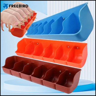 Orange Red Plastic Piglet Trough Automatic Feeding 4/5/6 Grids Piglet Feeder