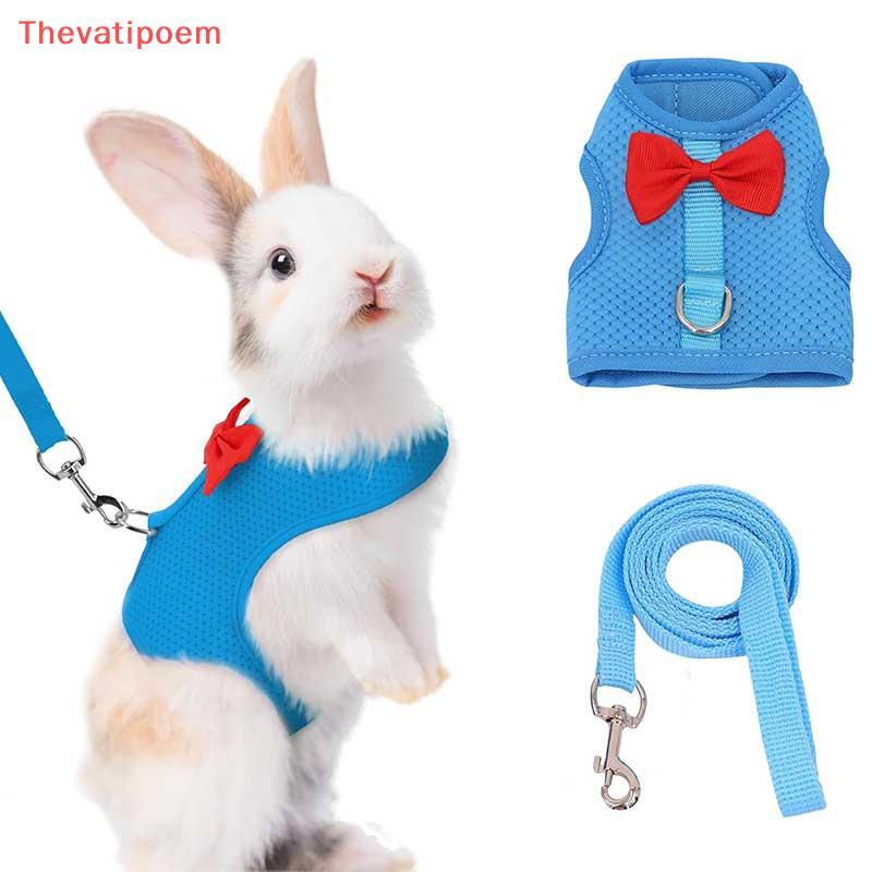 [Thevatipoem] ชุดสายรัดและสายจูงกระต่าย, เสื้อกั๊กสายรัดนิรภัยกระต่ายและหนูตะเภา – ชุดสายจูงสายรัดหน้าอกแบบปรับได้สําหรับสัตว์เลี้ยงขนาดเล็ก HOT ราคา ถูกที่สุด ดีลบีเคเค แกลเลอรีภาพที่ 2