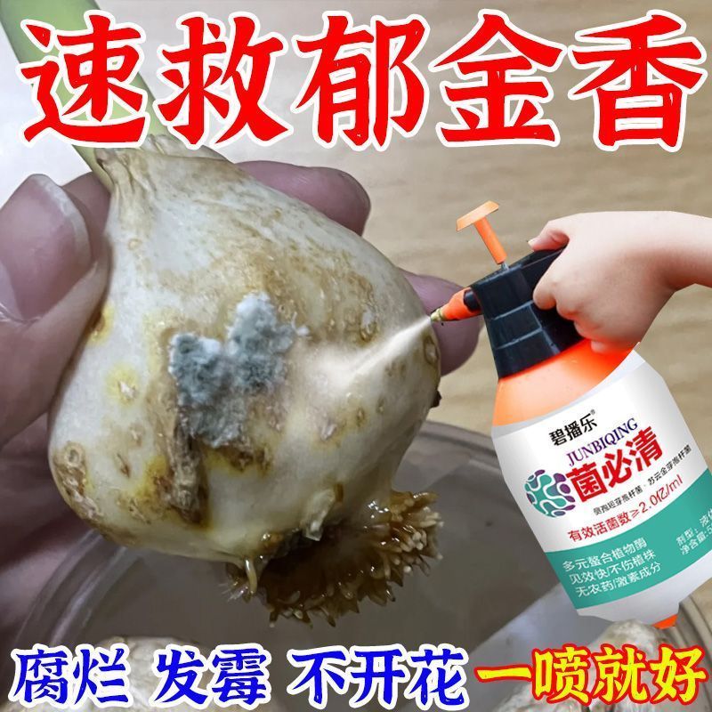 ขายร้อนพืช Hydroponic Rotten Root ฆ่าเชื้อดินของเหลวพืช Hydroponic สีเหลือง Leaf Anti-Rotten Root ดอ