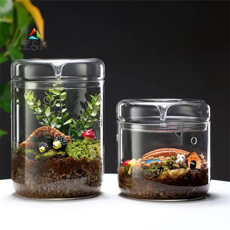 Z&P ขวดแก้ว ความคิดสร้างสรรค์ Dew คอลเลกชันแจกันแก้ว Micro ภูมิทัศน์ Moss ภูมิทัศน์แก้ว Terrarium ตกแต่งบ้าน COD
