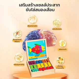 ✨ชุดแทนแกรมฝึกสมอง✨ แผ่นแม่เหล็ก+ไม้ปลอดสาร/เสริม IQ+สมาธิ✨3-7 ขวบ