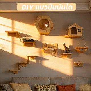 PawPals หลุมแมว DIYคอนโดแมวติดผนัง กล่องแมวติดผนัง  แข็งแรงท…