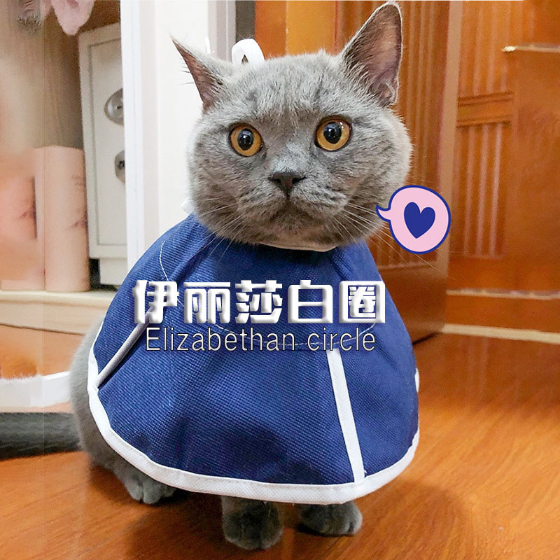 คอลล่าแมวกันเลีย คอลล่าแมว Pet Elizabeth Collar Cat Medical Non-Woven Soft Summer Anti-Lick Anti-Scr