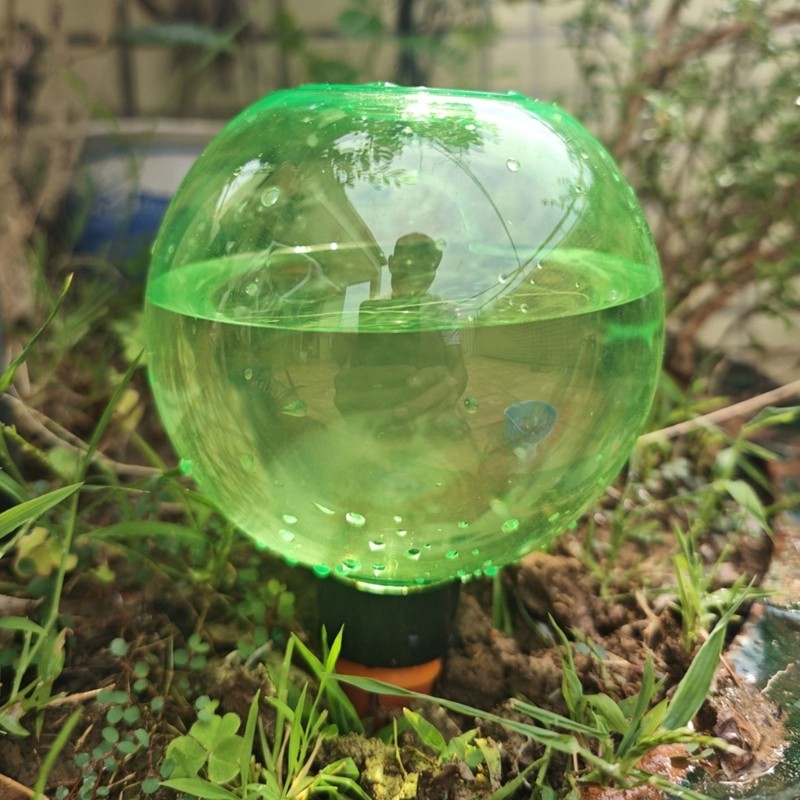 Bapara 6 ชิ้นพืชรดน้ํา Globes ชุดน้ํา Globes พืชรดน้ําหลอดไฟรดน้ําลูกโลกสําหรับดอกไม้พืชในร่ม