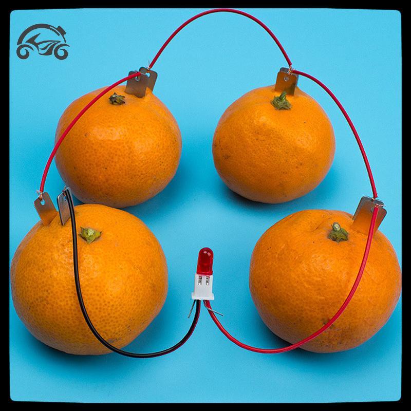 [8C11] 1 ชุดเด็ก Bio Energy Science Kit Potato Fruit Supply การทดลองไฟฟ้า [8C]