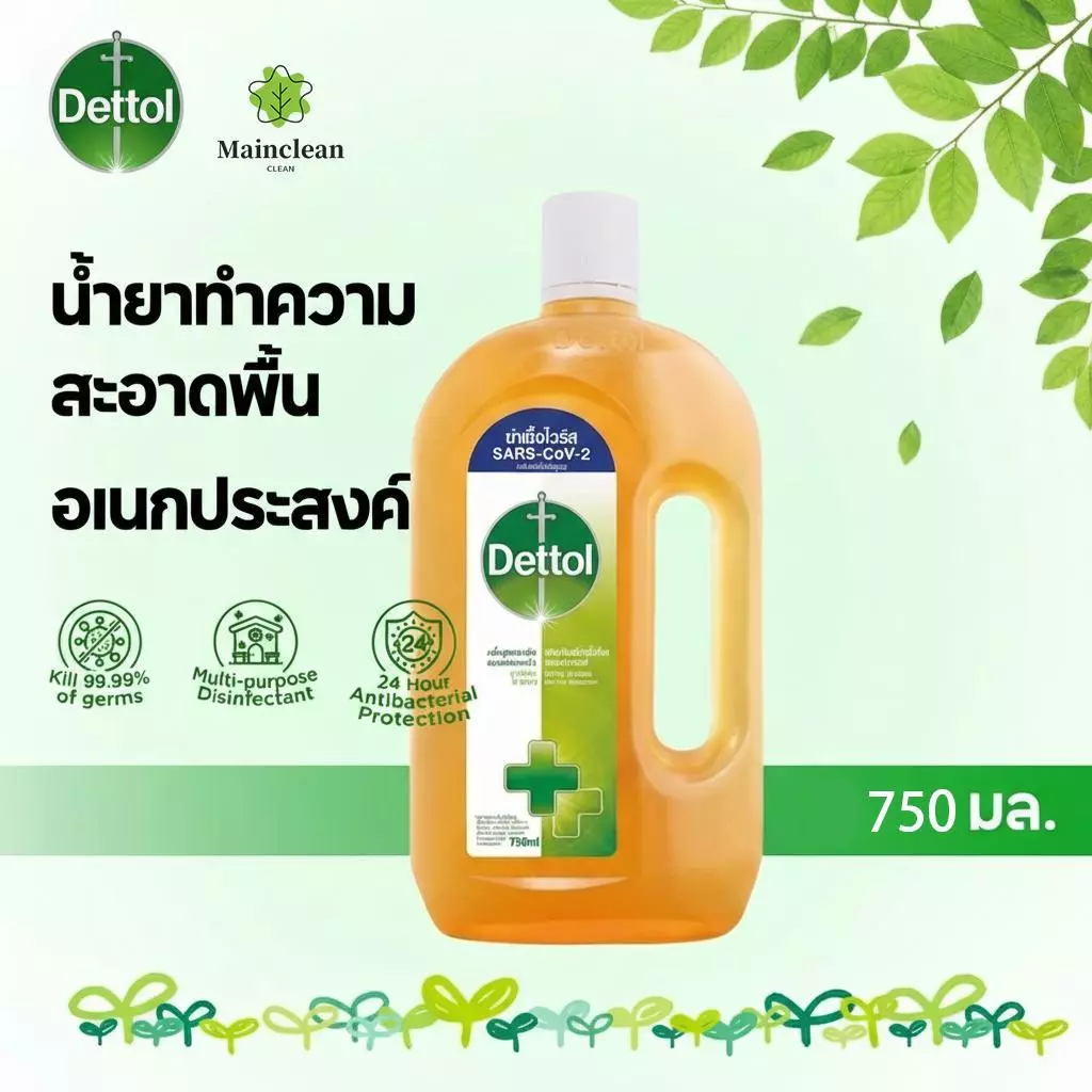 เดทตอล น้ำยาฆ่าเชื้อ 𝗗𝗲𝘁𝘁𝗼𝗹 750ml ล้างของเล่นเด็ก ขวดนม จานสัตว์เลี้ยง
