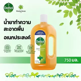 เดทตอล น้ำยาฆ่าเชื้อ 𝗗𝗲𝘁𝘁𝗼𝗹 750ml ล้างของเล่นเด็ก ขวดนม จานสัตว์เลี้ยง