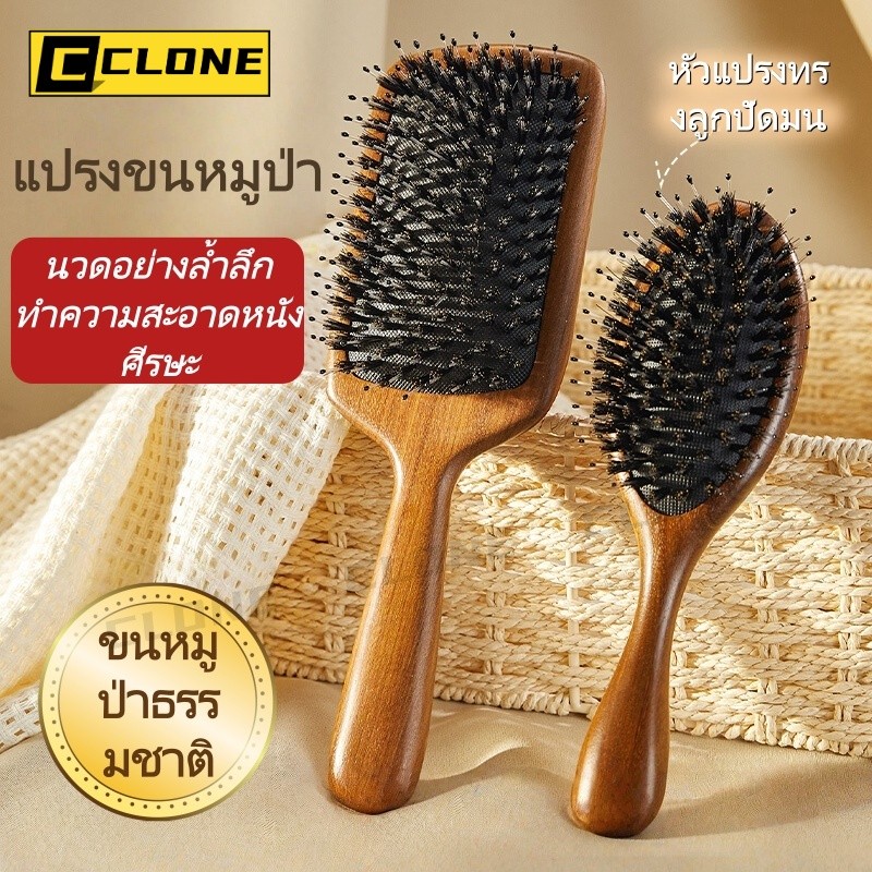 แปรงหวีผมขนหมูป่าธรรมชาติ ด้ามไม้จันทน์สีทอง ช่วยให้ผมเรียบลื่น ลดไฟฟ้าสถิต และนวดหนังศีรษะ