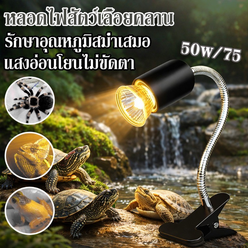 หลอดไฟสัตว์เลื้อยคลาน แสงที่ปรับได้ 50w/75 wแสงอ่อนโยนไม่ขัดตา  โคมไฟทนความร้อน สัตว์เลื้อยคลาน กกลูกนก สำหรับเต่า