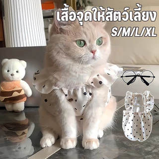 COD เสื้อสุนัขฤดูร้อน เสื้อแมว กระโปรงสัตว์เลี้ยง เสื้อผ้าฤดูร้อนแต่งโบว์ กระโปรงใส่สบาย ระบายอากาศดี