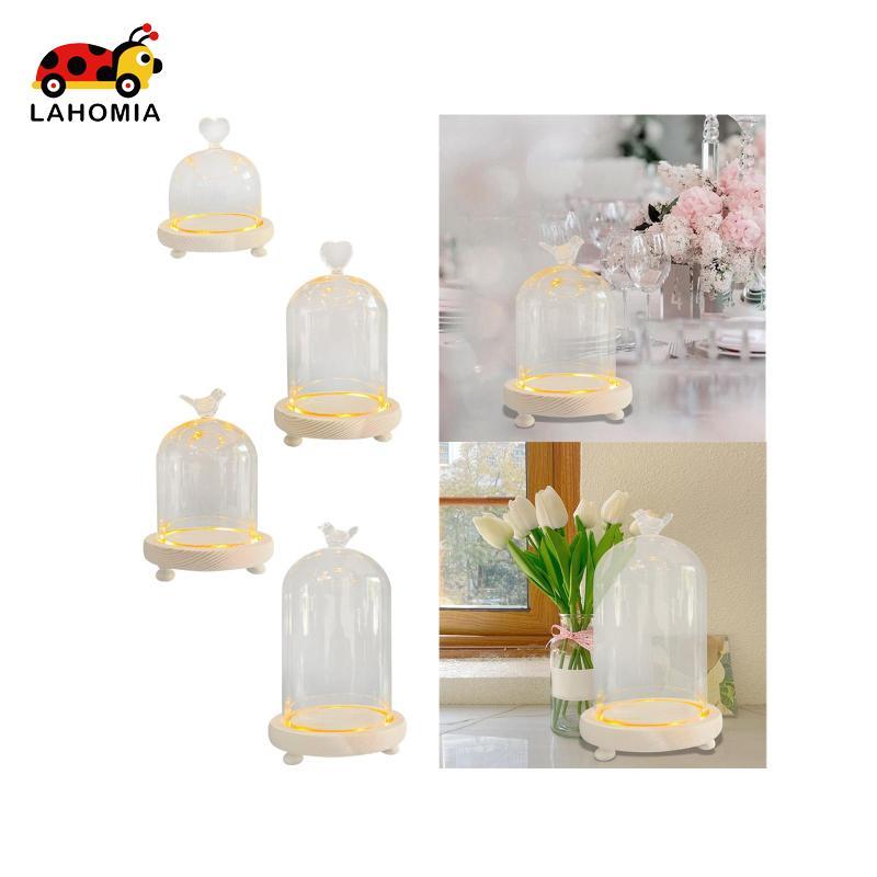 [Lahomia] Glass Cloche Dome Transparent Dome Cloche Office Micro Landscape Holder DIY
