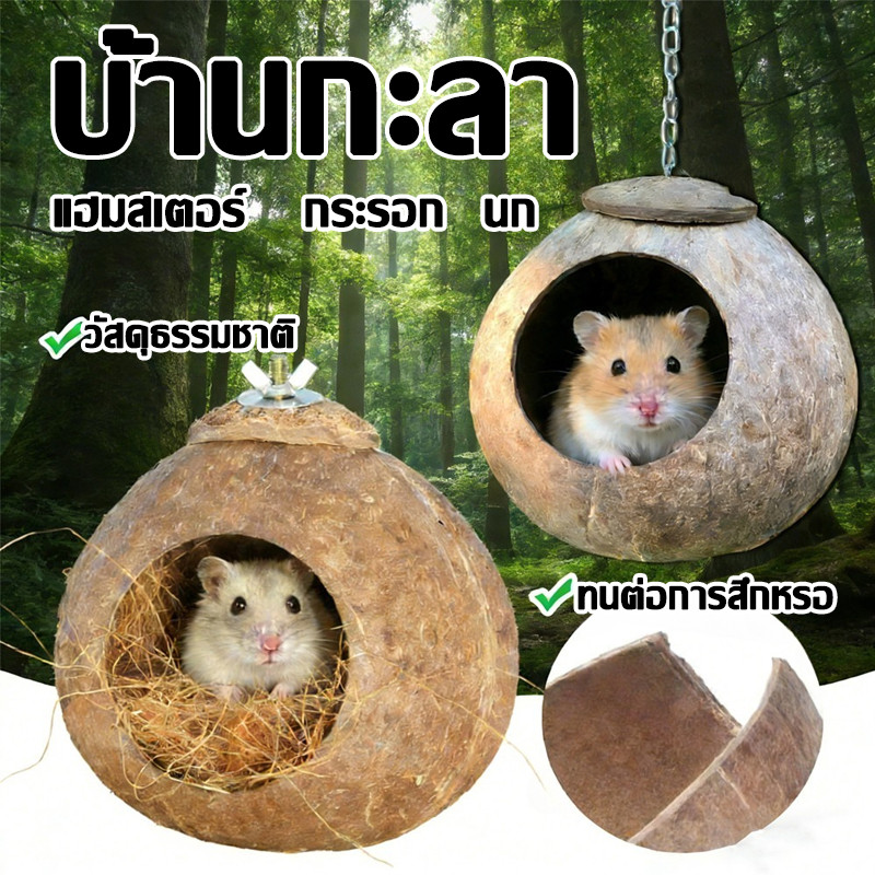 บ้านกะลา บ้านชูการ์ไกลเดอร์  บ้านนกแก้ว บ้านกระรอก บ้านนกเล็ก กะลามะพร้าวแท้ มีรูระบายอากาศ พร้อมที่แขวนในกรง