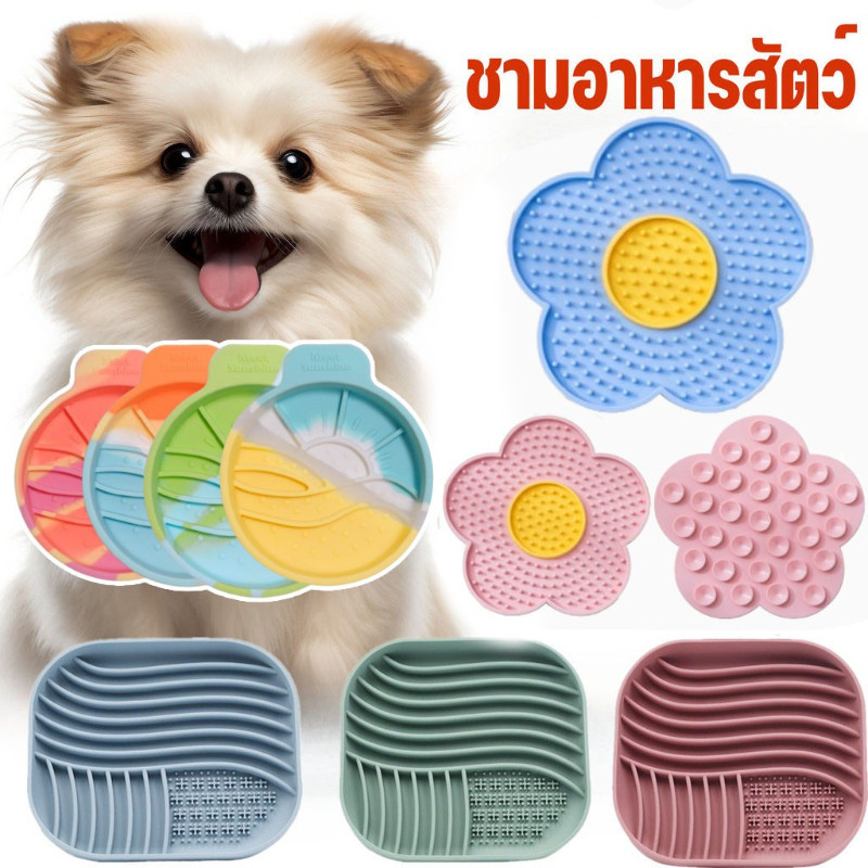 ชามชะลอกินซิลิโคน/พีพี ชามช่วยลดการสำลัก กันลื่น สําหรับฝึกสัตว์เลี้ยง  สุนัขและแมว