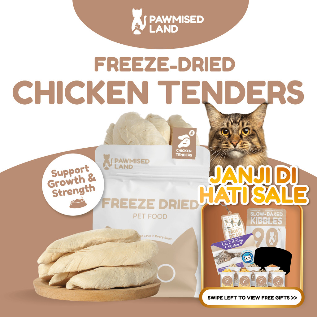 PawmisedLand Catty Munchies - Chicken Tenders Freeze Dry Pet Food 125g Premium Treats Pet Food อาหาร