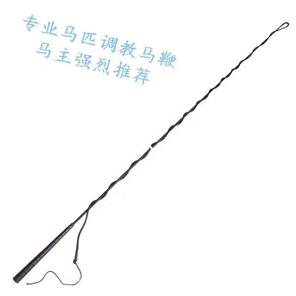 Horse training whip, arena training, circular training whip, long whip for horse training3Rice8