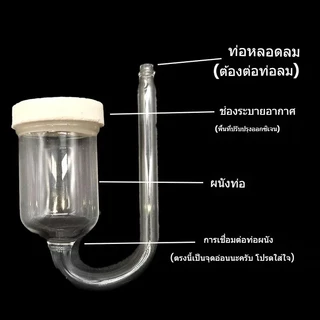 COD ถังปลาปั๊มออกซิเจน หัวทราย 25/35mm ฟองละเอียด ทำงานเงียบ ให้น้ำมีออกซิเจนสูง ประหยัดไฟ วัสดุทนทาน ใช้ในตู้ปลาได้ดี