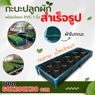 กระบะปลูกผัก​ ขนาด​ 200x60x30cm/​100x60x30cm กะบะเพาะปลูก แปลงผักเพาะปลูก พร้อมโครง PVC ระบายน้ำได้ดี ใช้งานได้ยาวนาน