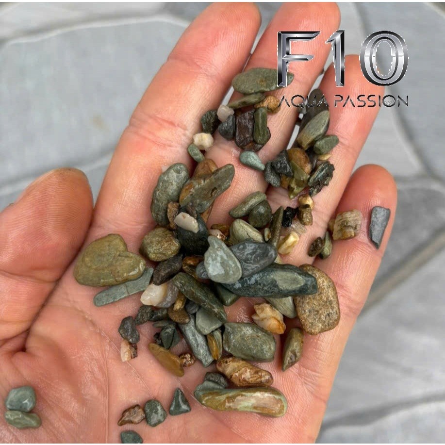 รุ่นใหม่สวยมาก Stream Hotel, Aquarium Decoration, Aquarium, Biotope Layout Setup