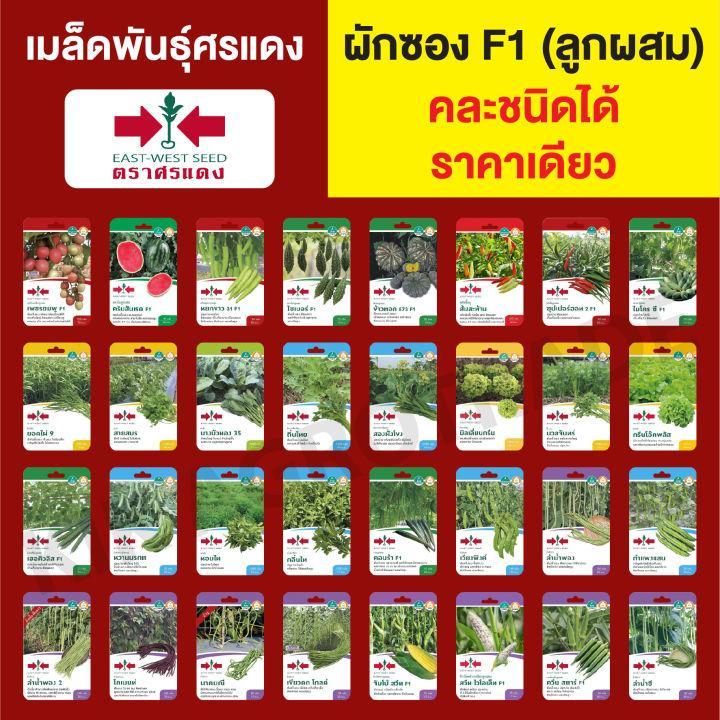 ขายส่ง เมล็ดพันธุ์ ผักซอง ศรแดง F1  *คละชนิดได้ กดใส่ตะกล้าก่อนยืนยันสั่งซื้อ*