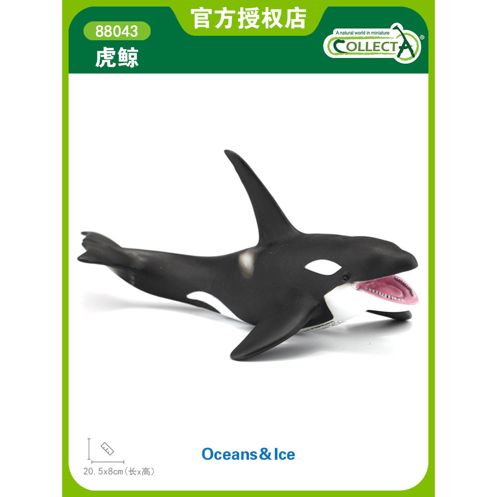 British CollitA Me You He จําลองสัตว์ทะเลของเล่นปลา Killer Whale 88043 Killer Whale