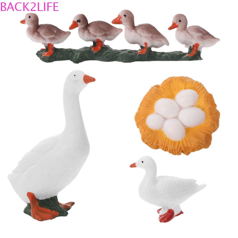 BACK2LIFE Life Cycle Figures ของขวัญวิทยาศาสตร์ Cock สัตว์ปีก Growth Cycle Miniature ของเล่นเพื่อการ