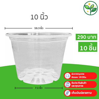 กระถาง กระถางต้นไม้ กระถางพลาสติก เบอร์ 10 นิ้ว สีใส 10 ใบ ช…