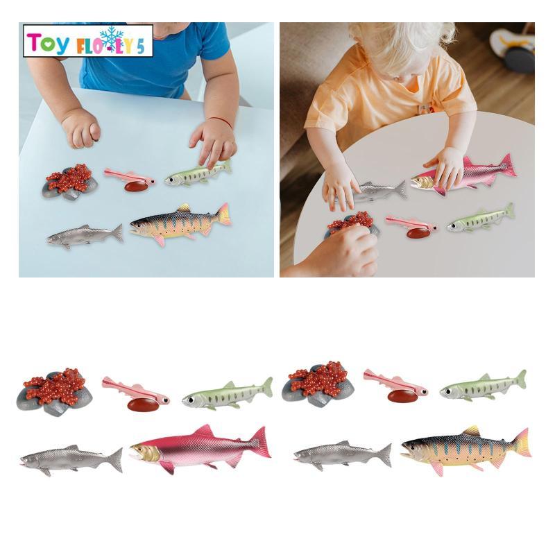 [Flurishroly5] Life Cycle of Salmon Toys Preschool Cognitive Biology Model Cake Toppers Animal Growt