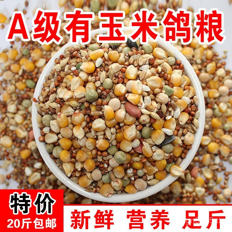 Pigeon Youth Pigeon Corn 10kg Pigeon Pigeon Sai Food Pigeon Fore Feed Pigeon Win Xinshuo Food มี Pig