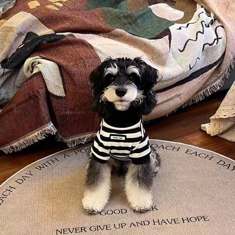 Pet Clothes Classic Style Turtleneck Striped Summer Pet Clothing Schnauzer Teddy Dog Cat Pet Clothes