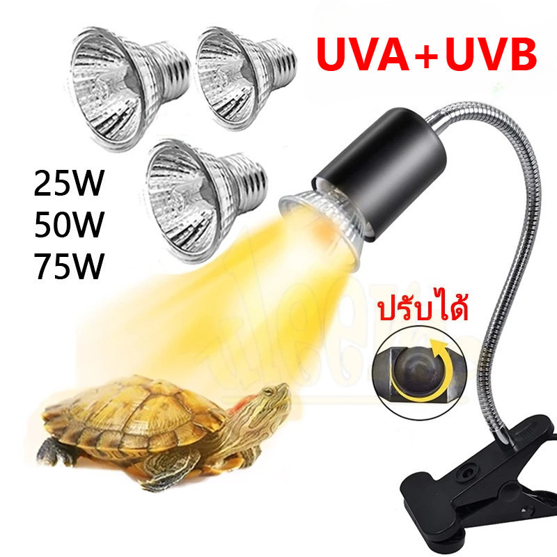 พร้อมส่งจากไทย ขั้วหลอดไฟเซลามิค หลอดไฟให้ความร้อน MiniSun UVA​/UVB​ 3.0​ สำหรับเต่าน้ำ​​ เต่าบก​ สัตว์เลื้อยคลาน
