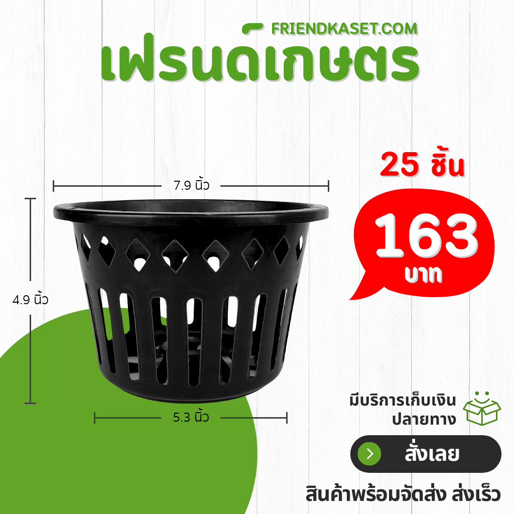 กระถางต้นไม้ กระถางกล้วยไม้ กระถางแขวน กลม 10 11 นิ้ว สีดำ 10 25 50 ใบ ชิ้น อัน - รูปที่ 3