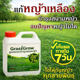 ปุ๋ยน้ำบำรุงหญ้า ให้เขียวสด แก้หญ้าเหลือง ใช้ได้กับหญ้าทุกสายพันธ์ ปลอดภัย บำรุงหญ้าไทเป ปุ๋ยบำรุงหญ้าสนาม