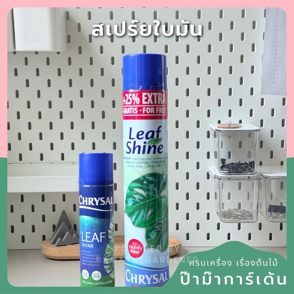 ชื่อสินค้า: สเปรย์ใบมัน 250ml / 750ml - Leaf Shine Spray