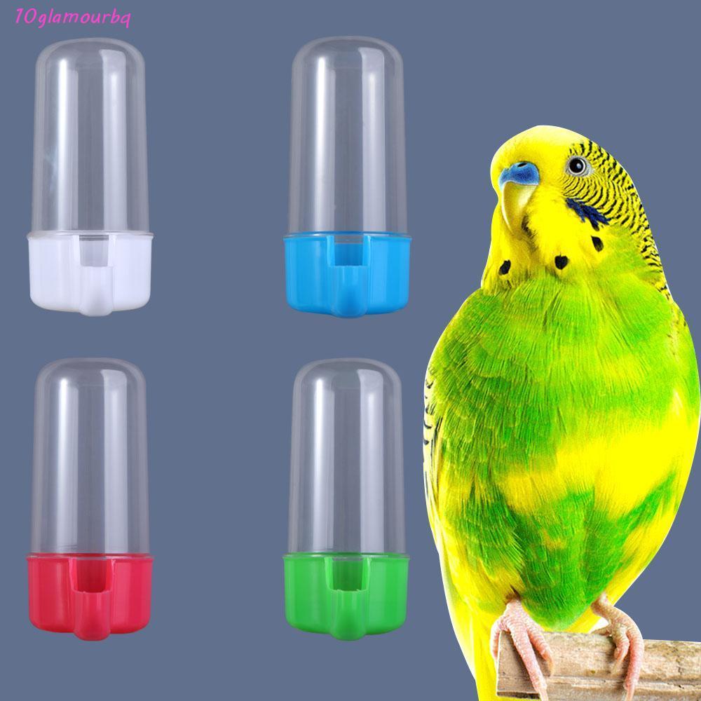 GLAMOURBQ Bird Feeder Parrot Parakeet Cockatiel Hamster Small Animals Canary Cage Accessories