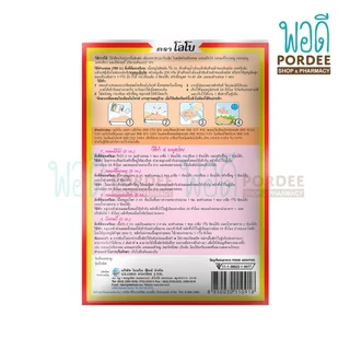 โลโบ ผงทำแหนม Powder For Fermenting Pork (Nam Powder) 70 กรัม