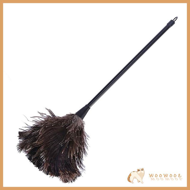 Ostrich Duster Feather Cleaning Brush with Long Handle Computer Dust Removal