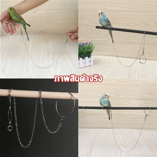 โซ่คล้องขานกสแตนเลส พร้อมห่วงเปิดนก โซ่ขานก ห่วงขานก ห่วงนก 50-80ซม หนา0.8mm ป้อนกันนกหลุด นกแก้ว ฟอพัส