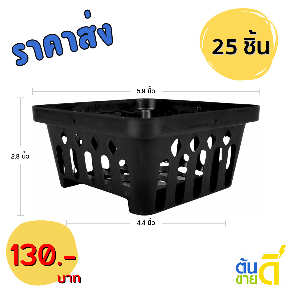 กระถาง กระถางกล้วยไม้ กระถางแขวน กลม 10 11 นิ้ว สูง 10 25 50 100 ใบ ชิ้น - รูปที่ 6