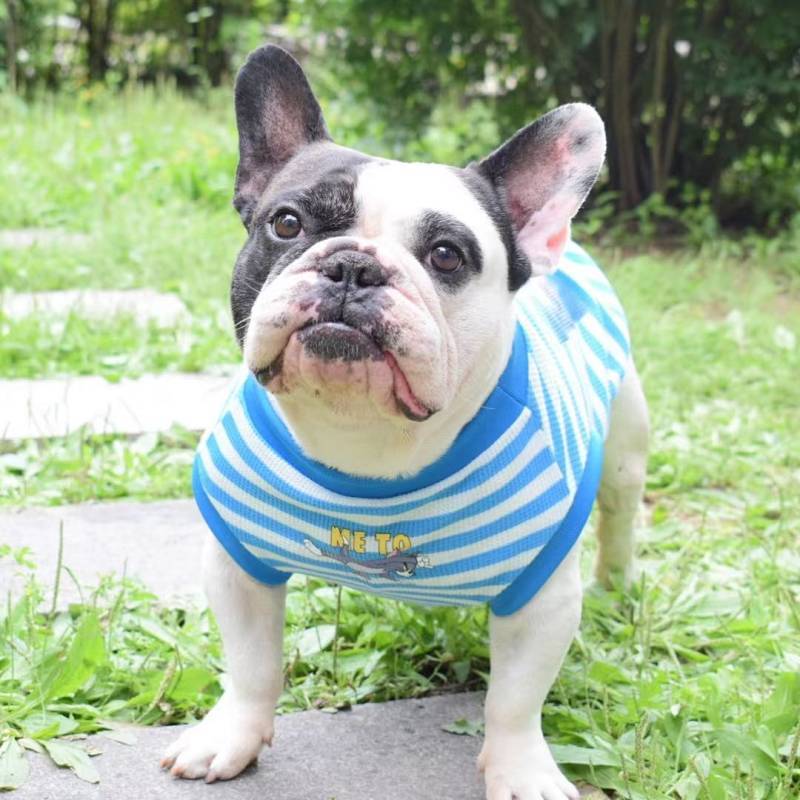 French Bulldog เสื้อผ้าฤดูร้อนวาฟเฟิลการ์ตูนลายเสื้อกั๊ก French Bulldog Bulldog Jingba Bulldog Terri
